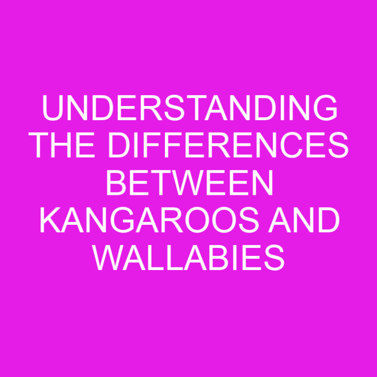 Understanding the Differences Between Kangaroos and Wallabies 6 Understanding the Differences Between Kangaroos and Wallabies