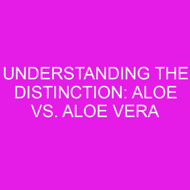 Understanding the Distinction: Aloe vs. Aloe Vera 4 Understanding the Distinction: Aloe vs. Aloe Vera