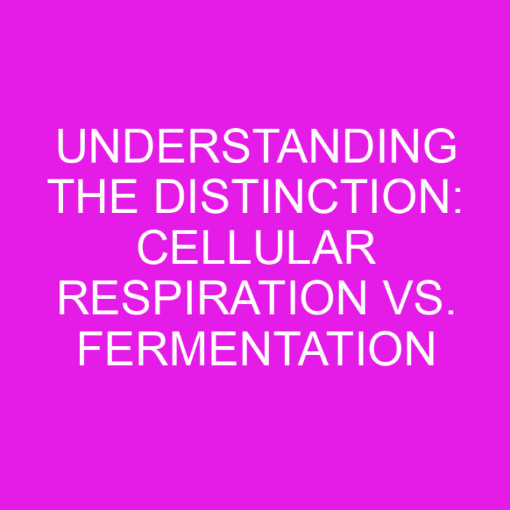 Understanding the Distinction: Cellular Respiration vs. Fermentation