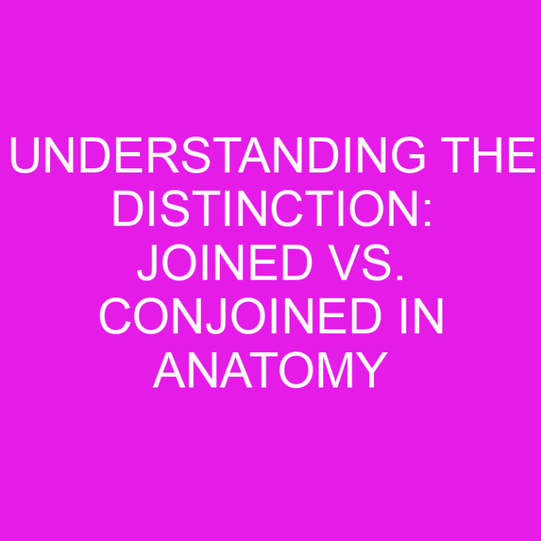 Understanding the Distinction: Joined vs. Conjoined in Anatomy