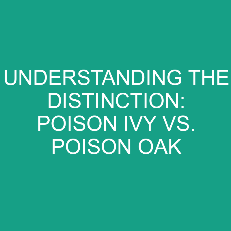 understanding the distinction poison ivy vs poison oak 11815