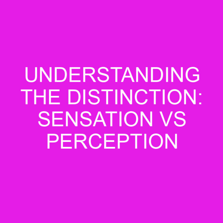 Understanding the Distinction: Sensation vs Perception