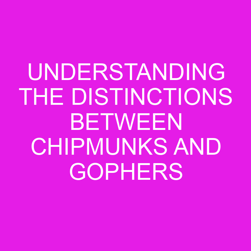 understanding the distinctions between chipmunks and gophers 11985