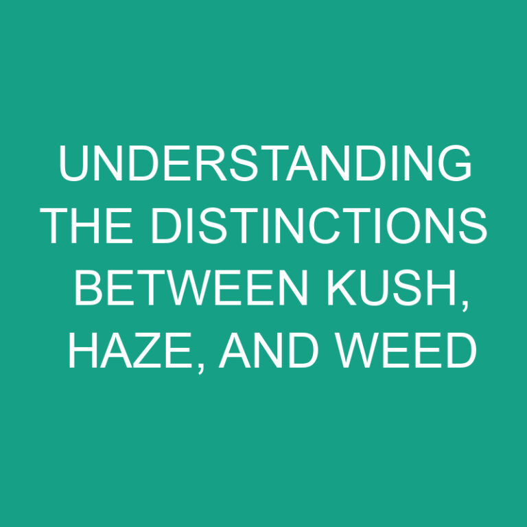 Understanding the Distinctions between Kush, Haze, and Weed 5 Understanding the Distinctions between Kush, Haze, and Weed
