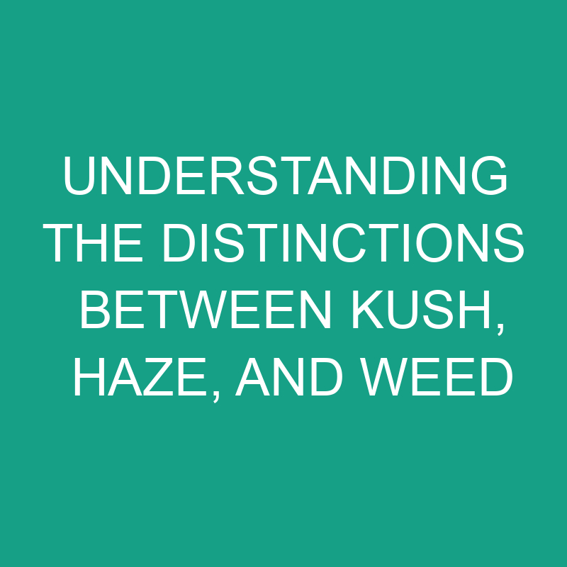 Understanding the Distinctions between Kush, Haze, and Weed 1 understanding the distinctions between kush haze and weed 11793
