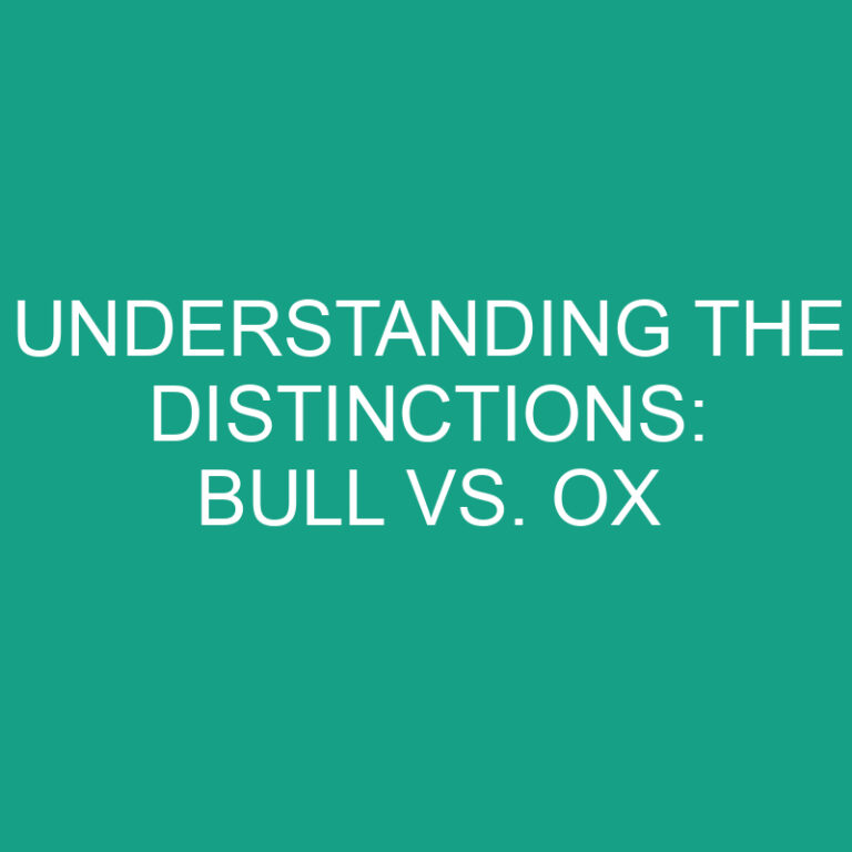 Bull vs. Ox: Understanding the Distinctions 4 Bull vs. Ox: Understanding the Distinctions