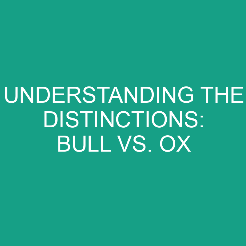 Bull vs. Ox: Understanding the Distinctions 1 understanding the distinctions bull vs