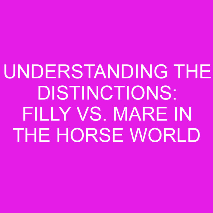 Understanding the Distinctions: Filly vs. Mare in the Horse World