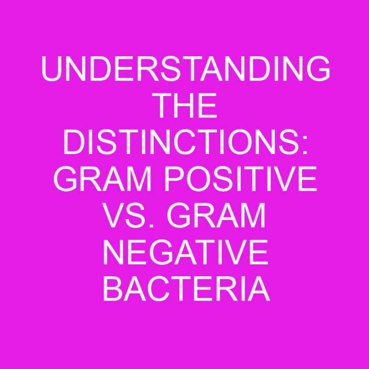 Understanding the Distinctions: Gram Positive vs. Gram Negative Bacteria