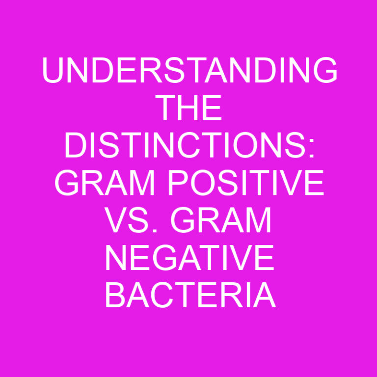 Understanding the Distinctions: Gram Positive vs. Gram Negative Bacteria 2 Understanding the Distinctions: Gram Positive vs. Gram Negative Bacteria