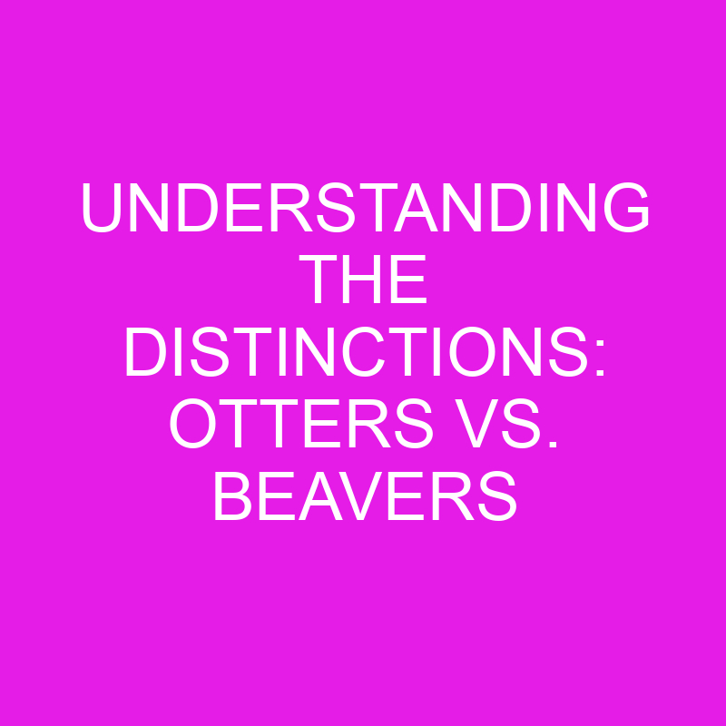 understanding the distinctions otters vs beavers 11919