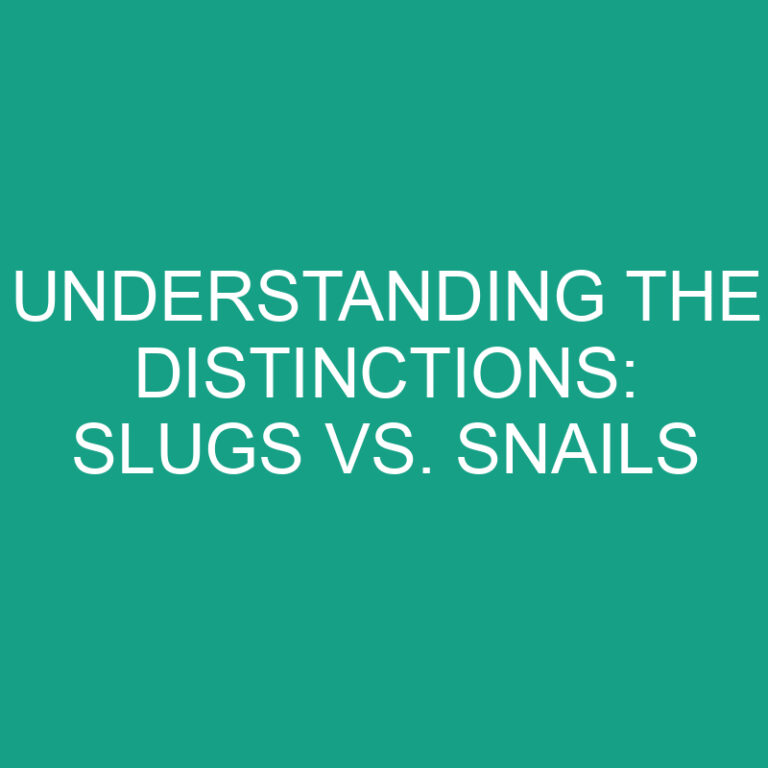 Understanding the Distinctions: Slugs vs. Snails