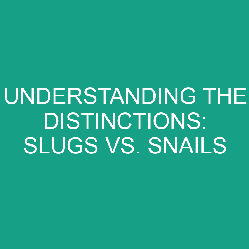 Understanding the Distinctions: Slugs vs. Snails 1 understanding the distinctions slugs vs snails 11765