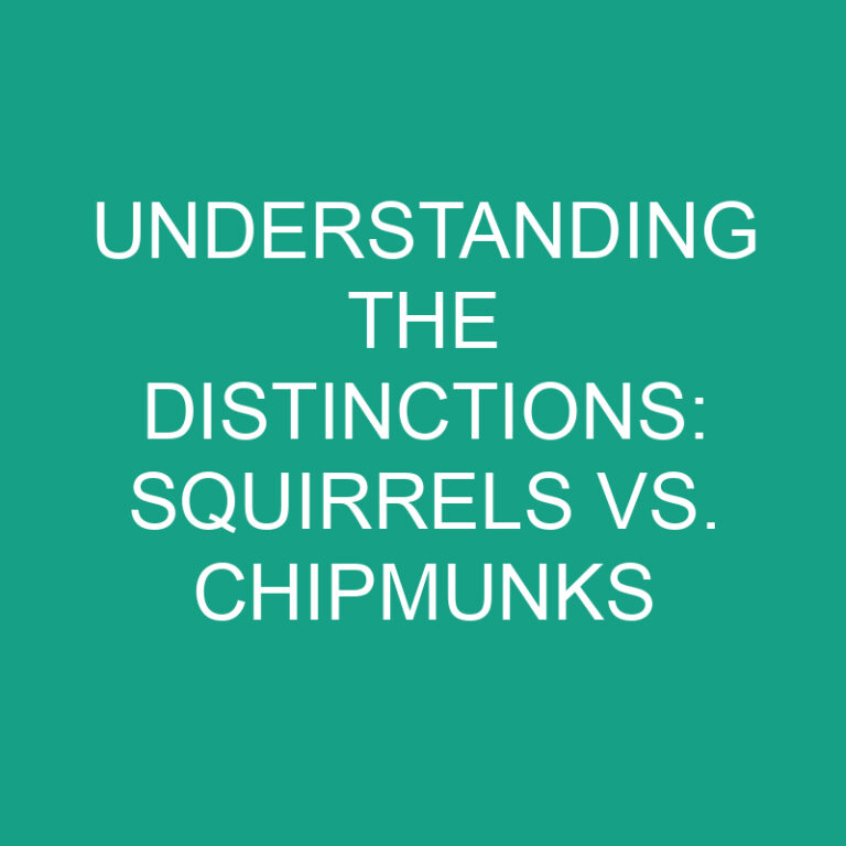 Understanding the Distinctions: Squirrels vs. Chipmunks