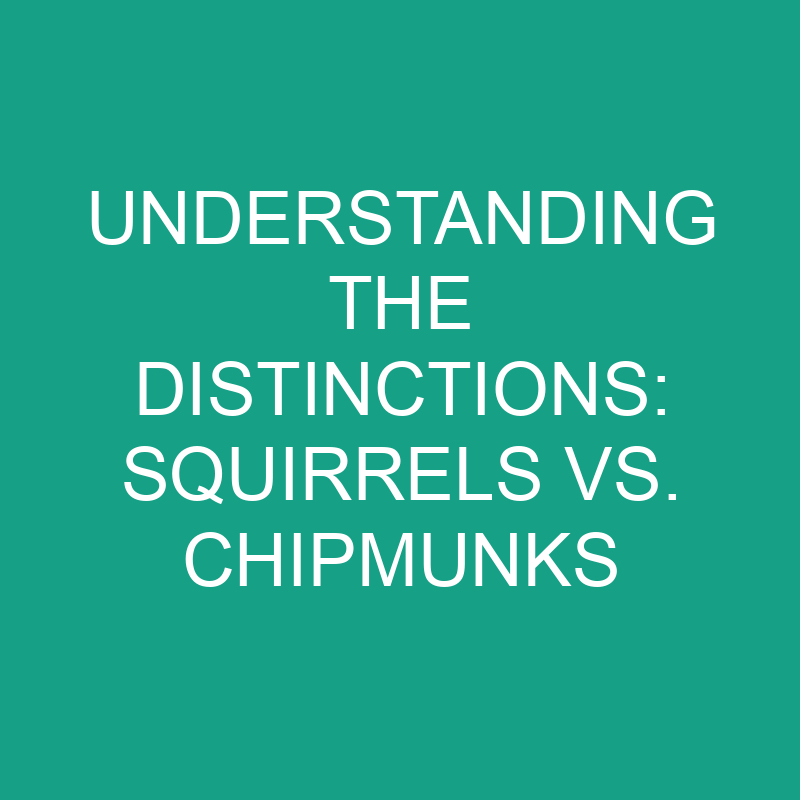 understanding the distinctions squirrels vs chipmunks 11817