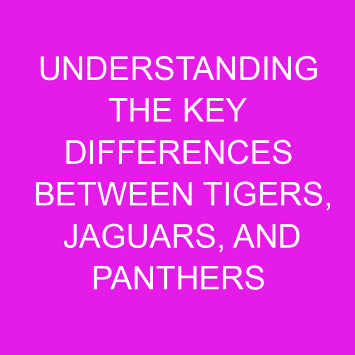 Understanding the Key Differences Between Tigers, Jaguars, and Panthers