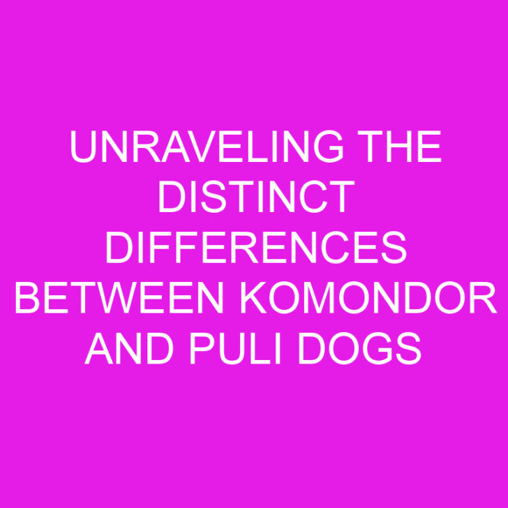 Unraveling the Distinct Differences Between Komondor and Puli Dogs