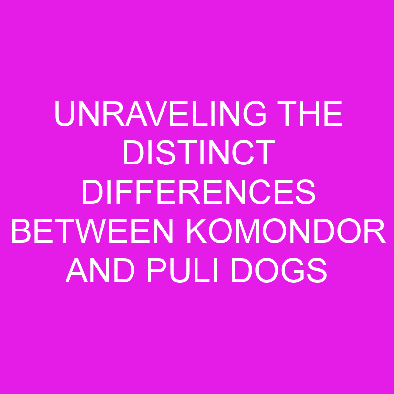 unraveling the distinct differences between komondor and puli dogs 11900
