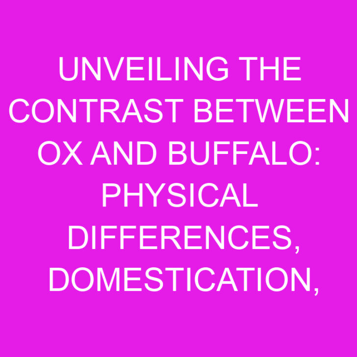 Unveiling the Contrast between Ox and Buffalo: Physical Differences, Domestication, Behavior, and Cultural Significance
