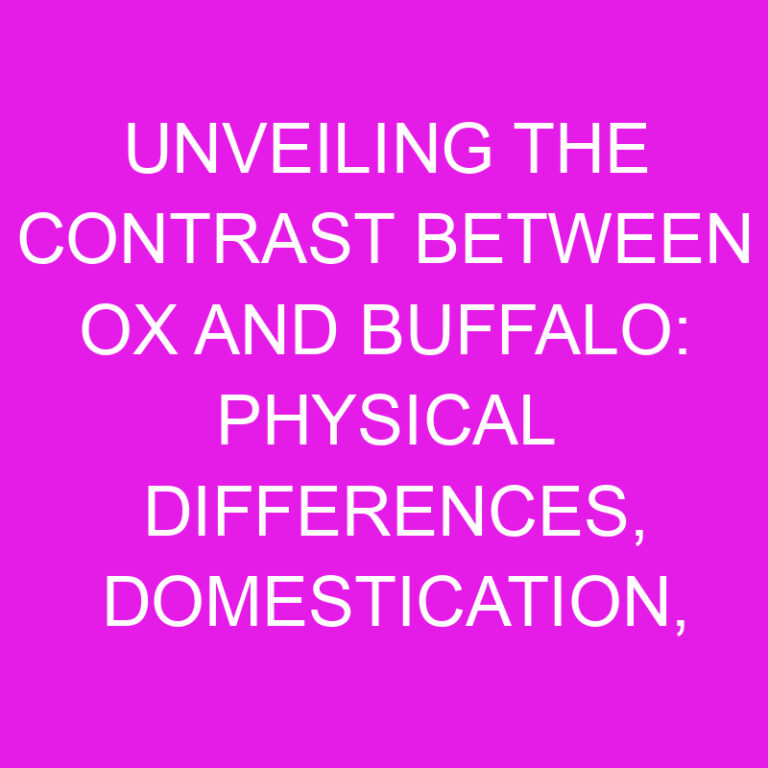 Contrast Between Ox and Buffalo: Physical Differences, Domestication and Behavior 5 Contrast Between Ox and Buffalo: Physical Differences, Domestication and Behavior