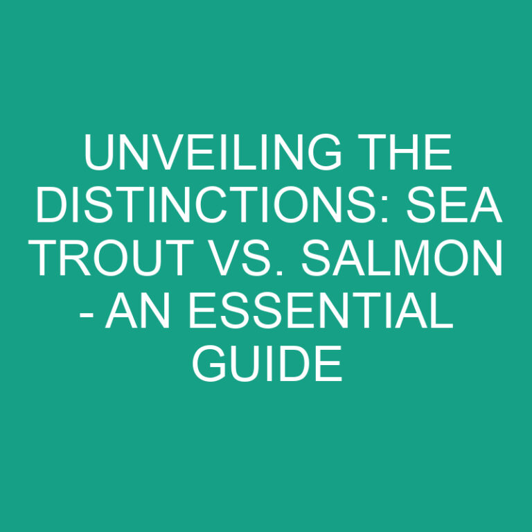 Unveiling the Distinctions: Sea Trout vs. Salmon – An Essential Guide