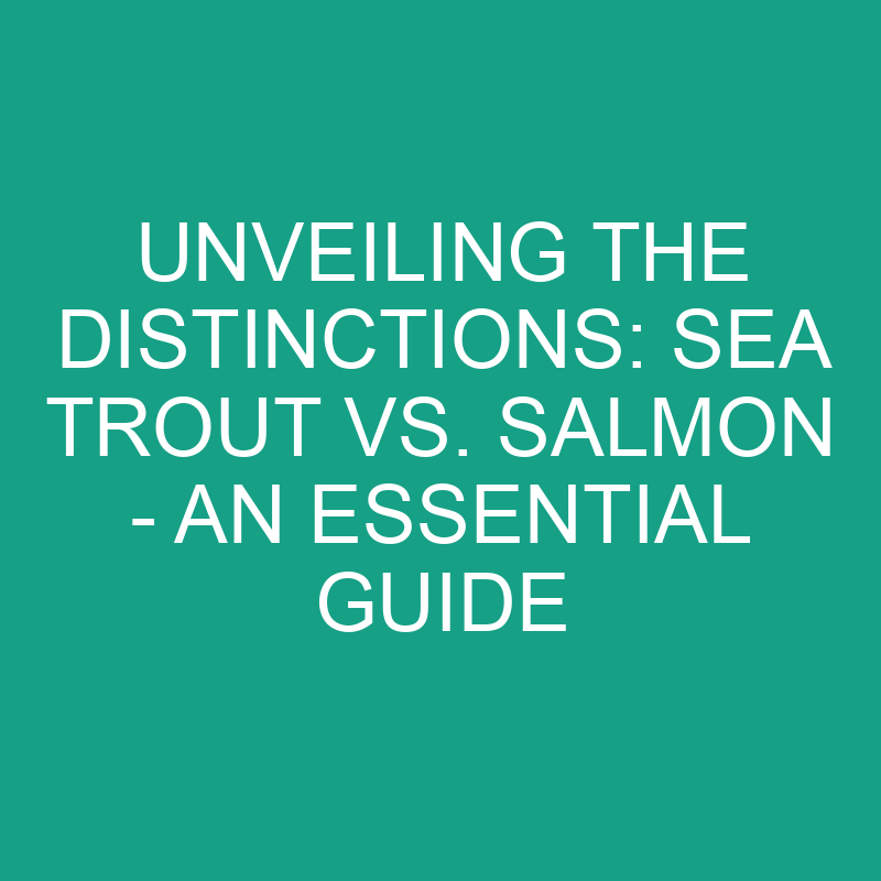 unveiling the distinctions sea trout vs salmon an essential guide 11790
