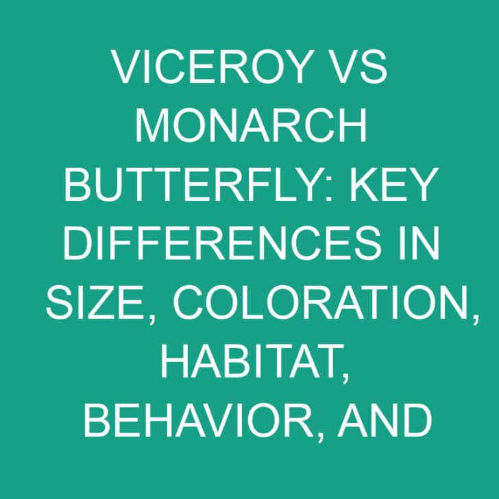 Viceroy vs Monarch Butterfly: Key Differences in Size, Coloration, Habitat, Behavior, and Diet