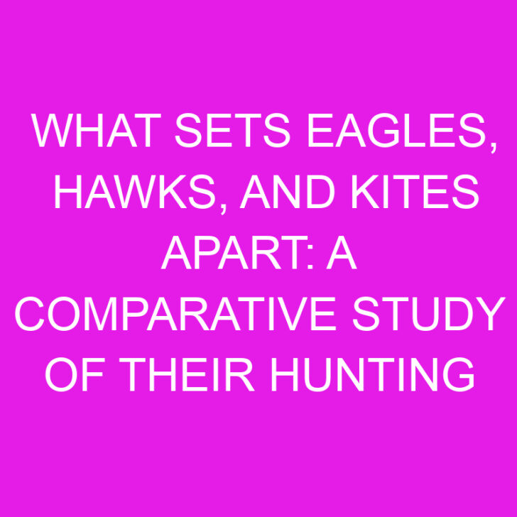 What Sets Eagles, Hawks, and Kites Apart: A Comparative Study of Their Hunting Techniques, Flight Patterns, and Nesting Habits