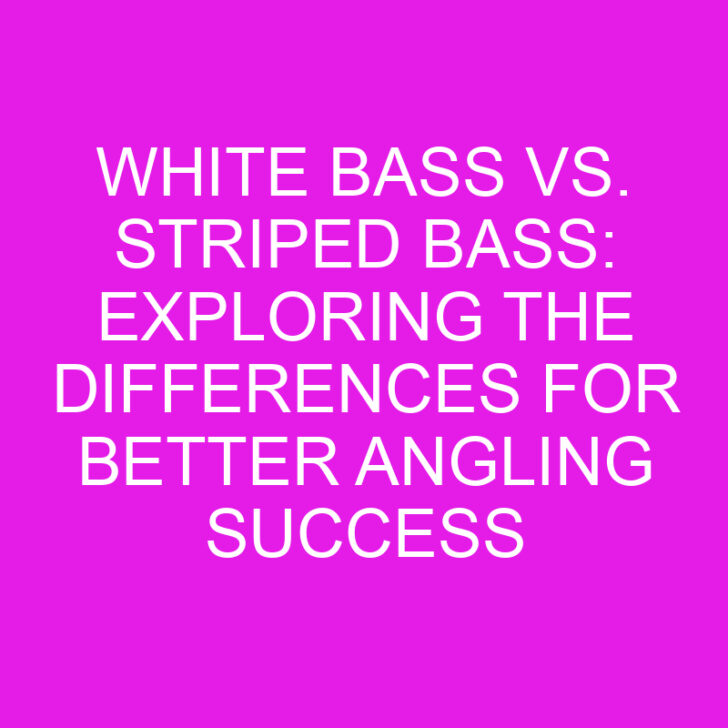 White Bass vs. Striped Bass: Exploring the Differences for Better Angling Success