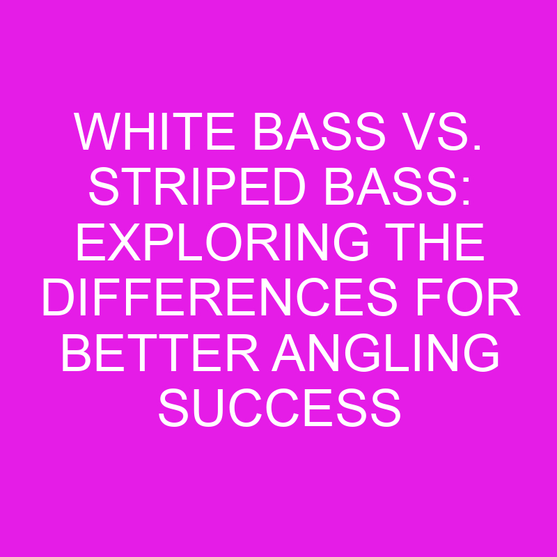 white bass vs striped bass exploring the differences for better angling success 11930
