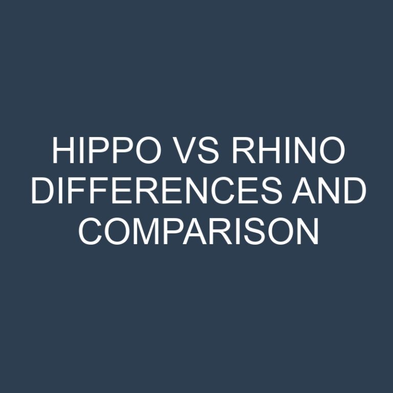 Hippo vs Rhino Differences and Comparison