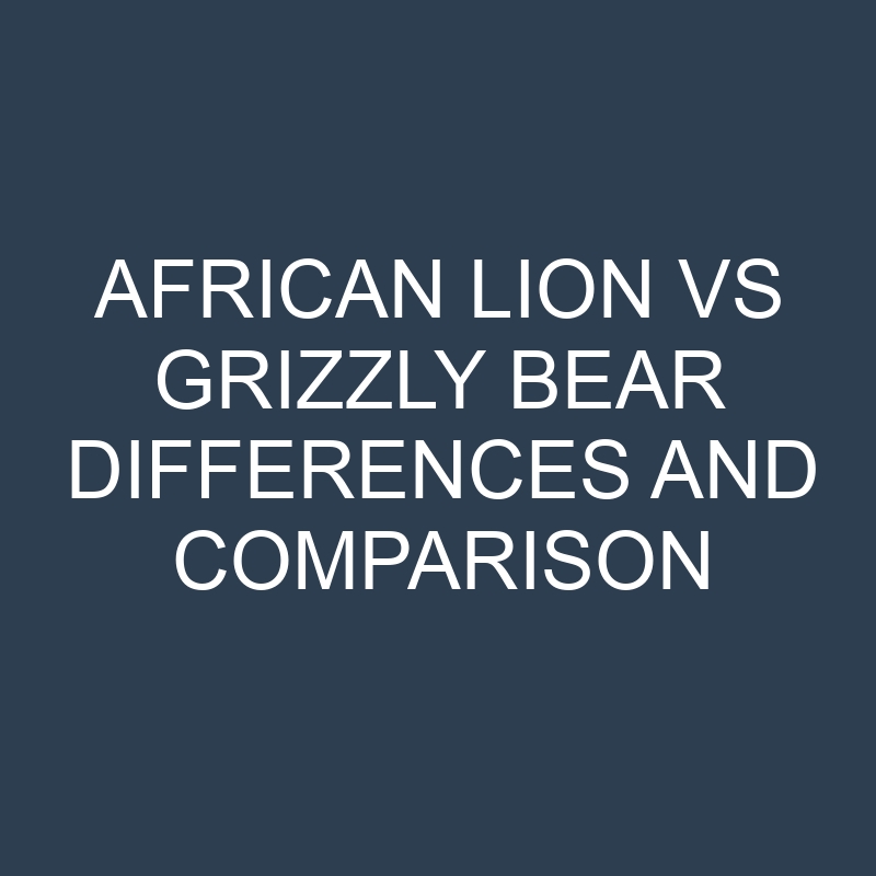 African Lion vs Grizzly Bear Differences and Comparison 1 african lion vs grizzly bear differences and comparison 423